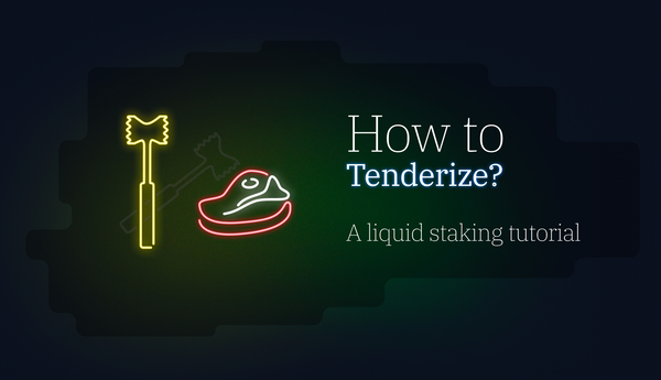 Liquid Staking With Tenderize Tutorial